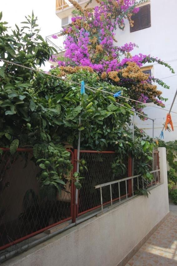 Apartments Zoki - Great Location Close To The Sea فيس المظهر الخارجي الصورة